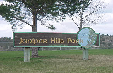 Juniper in Glenn Hills